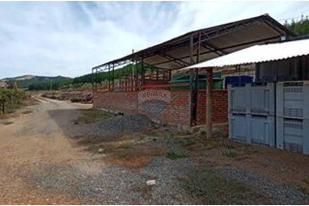 Residential - คฤหาสน์ชนบท - San Javier, Linares, Maule - CL - 1000024274.jpg - 1028098015-608