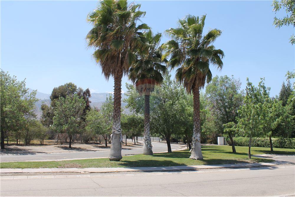 Gyvenamasis - Žemės sklypas - Colina, Chacabuco, Metropolitana De Santiago - CL - 3 - 1028018148-405