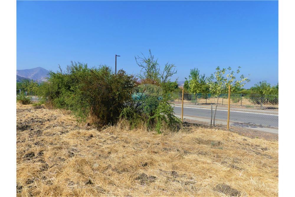 Gyvenamasis - Žemės sklypas - Colina, Chacabuco, Metropolitana De Santiago - CL - 15 - 1028018148-405