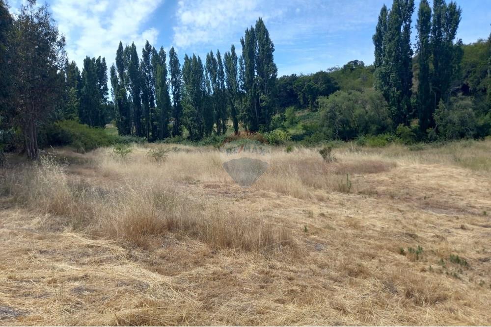 Gyvenamasis - Tuščias žemės sklypas - Litueche, Cardenal Caro, Libertador Gral. Bernardo O'Higgins - CL - Imagen de WhatsApp 2025-01-02 a las 15.22.14_280a1a2b.jpg - 1028103011-35