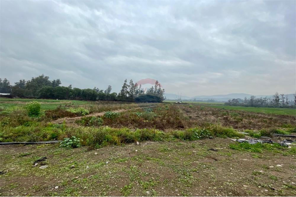 Mieszkaniowa - Nieruchomość wiejska - Talagante, Talagante, Metropolitana De Santiago - CL - 8 - 1028091010-162