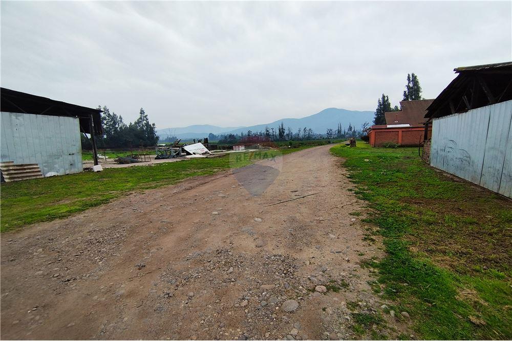 Mieszkaniowa - Nieruchomość wiejska - Talagante, Talagante, Metropolitana De Santiago - CL - 4 - 1028091010-162