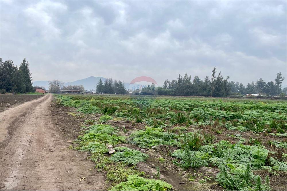 Mieszkaniowa - Nieruchomość wiejska - Talagante, Talagante, Metropolitana De Santiago - CL - 12 - 1028091010-162