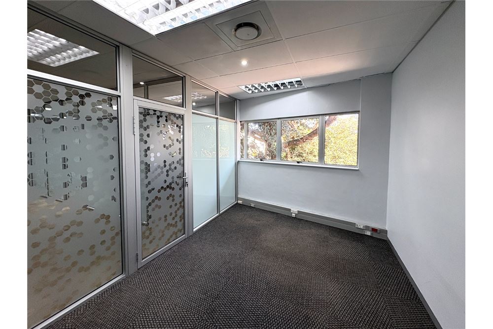 Comercial - Spaţiu Comercial/Retail - Morningside, KwaZulu Natal - South Africa - 4 - 1031388078-124