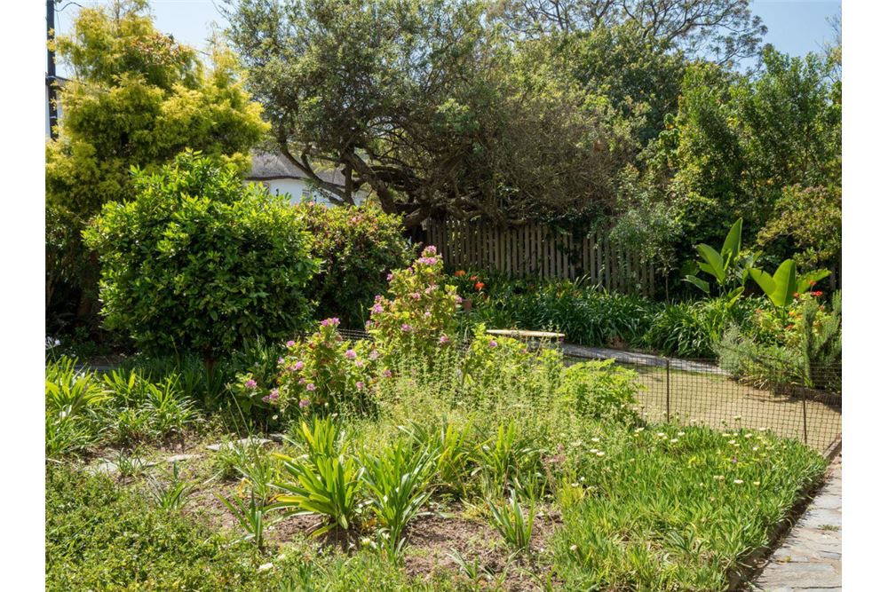 Residential - 콘도/아파트 - Knysna Central, Western Cape - South Africa - 18 - 1031369014-80