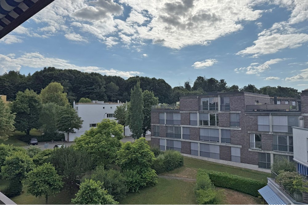 Residential - Maisonet - Dättwil, Aargau - CH - Lingam-15.jpeg - 118921009-354