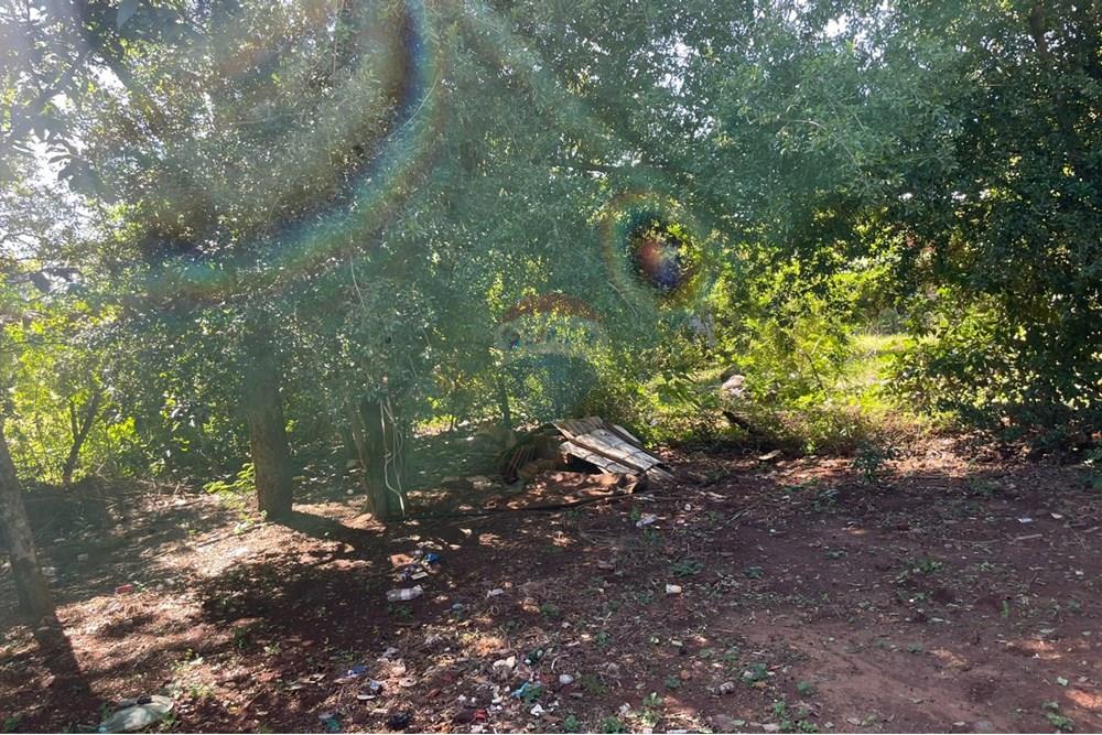 Residential - Rumah Terpisah - Paraguay Itapúa Encarnación - PY - 43f9bd13-cf73-43bc-9dcc-cb278cd620d0.jpg - 143080171-5