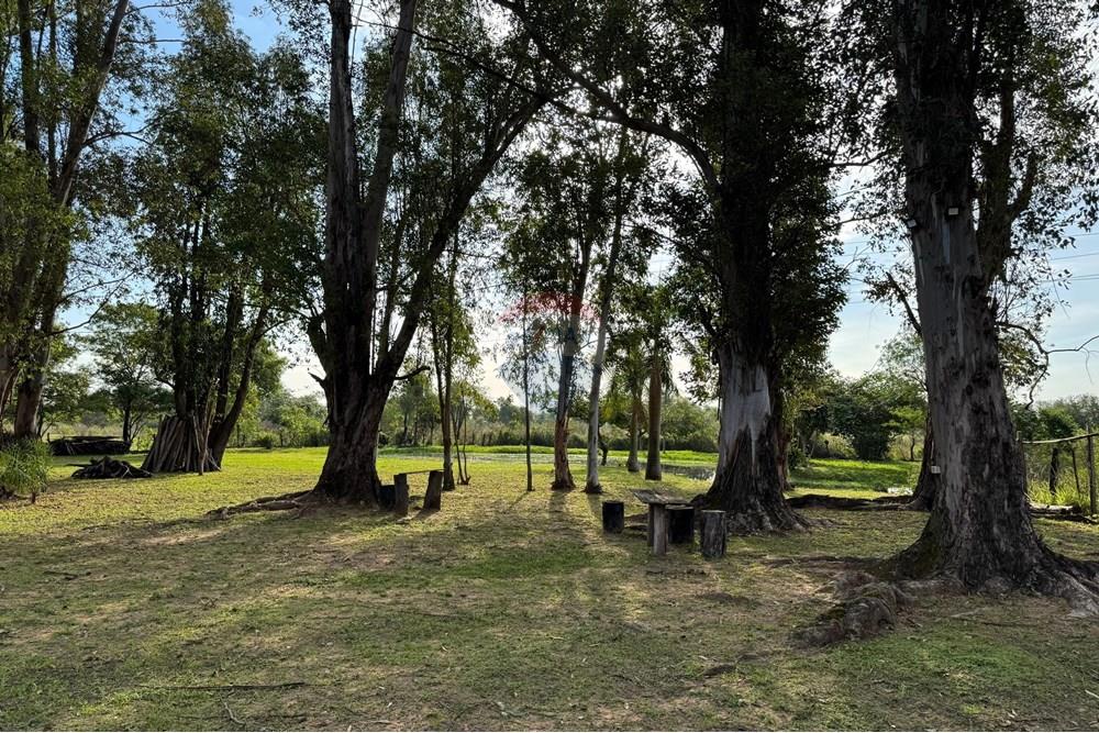 Mieszkaniowa - Domek wiejski - Paragwaj Central Ypacaraí - PY - IMG-20250715-WA0029.jpg - 143025195-4