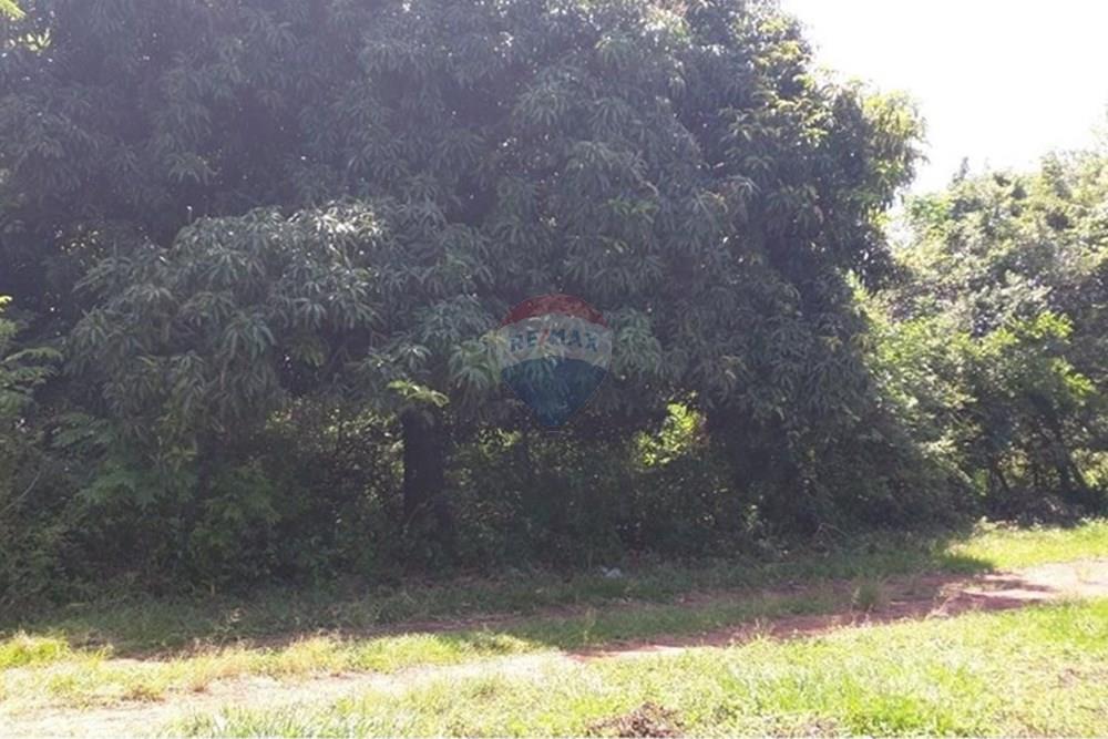 Wohnung - Grund - Paraguay Cordillera Emboscada - PY - WhatsApp Image 2025-08-22 at 09.08.07.jpeg - 143095025-11