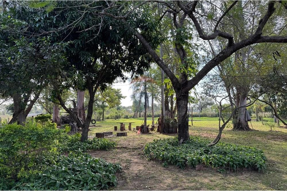 Mieszkaniowa - Domek wiejski - Paragwaj Central Ypacaraí - PY - Imagen de WhatsApp 2025-09-26 a las 17.33.29_1133834f.jpg - 143025195-4