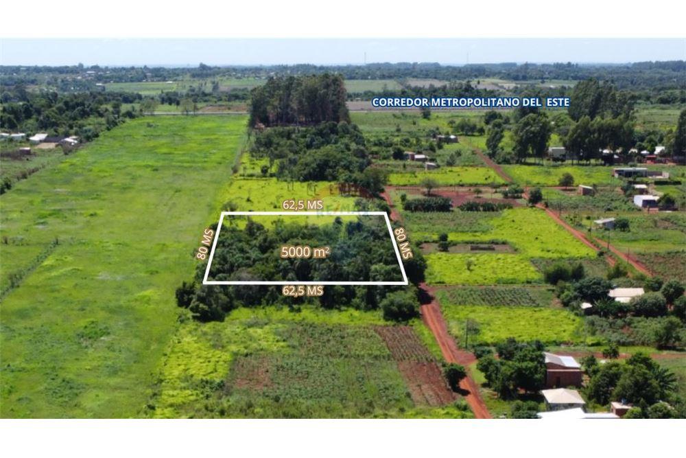 Residential - ਧਰਤੀ - Paraguay Alto Paraná Minga Guazú - PY - 3 - 143050095-28