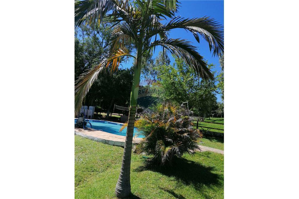 Residencial - Casa - Paraguay Cordillera Caacupé - PY - 26 - 143025198-2