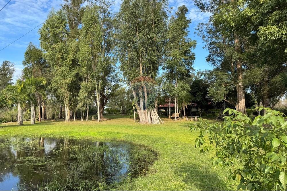 Mieszkaniowa - Domek wiejski - Paragwaj Central Ypacaraí - PY - IMG-20250715-WA0034.jpg - 143025195-4