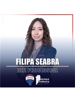 Filipa Seabra - Dinâmica Daire