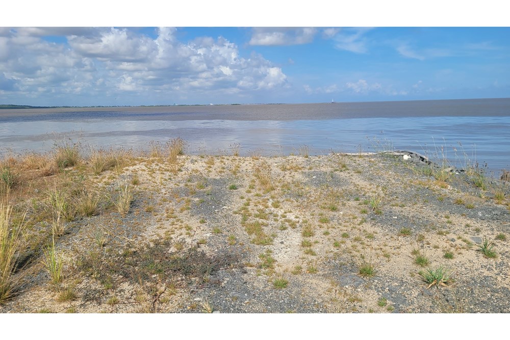 Land - For Rent/Lease - Guyana, Demerara-Mahaica, Georgetown - WhatsApp Image 2025-11-03 at 3.02.13 PM (1).jpeg - 130002018-176