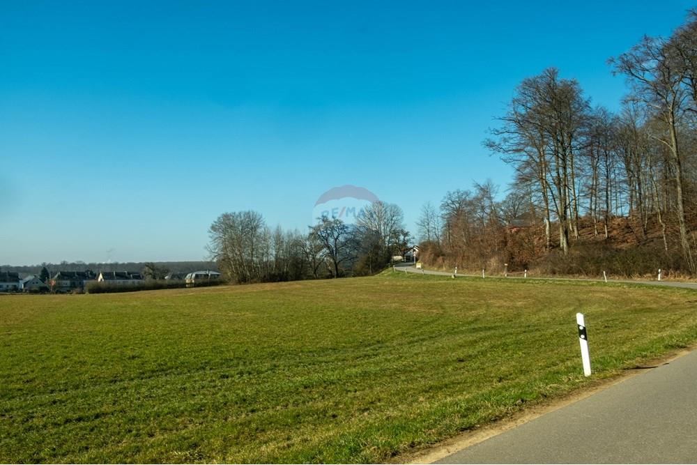 Terrain non constructible - A vendre - Sandweiler - 20250306_untitled_1012-HDR.jpg - 280351011-7