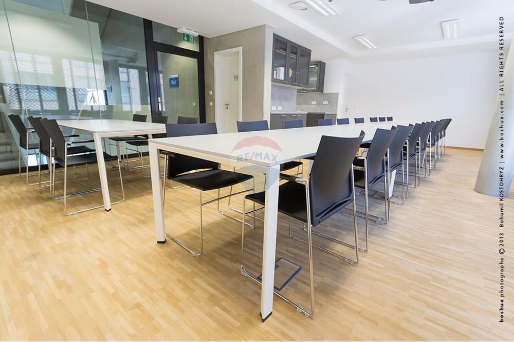 Office - For Rent/To Let - Luxembourg - IMG_0769.jpeg - 280221001-935