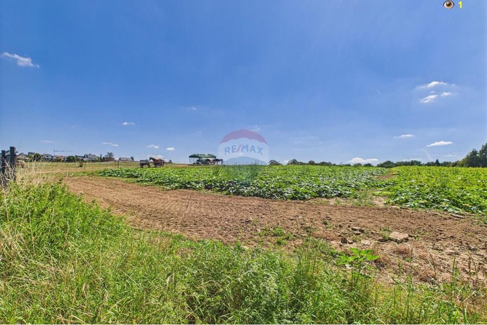 Terrain - A vendre - Contern - 1.jpg - 280171009-187