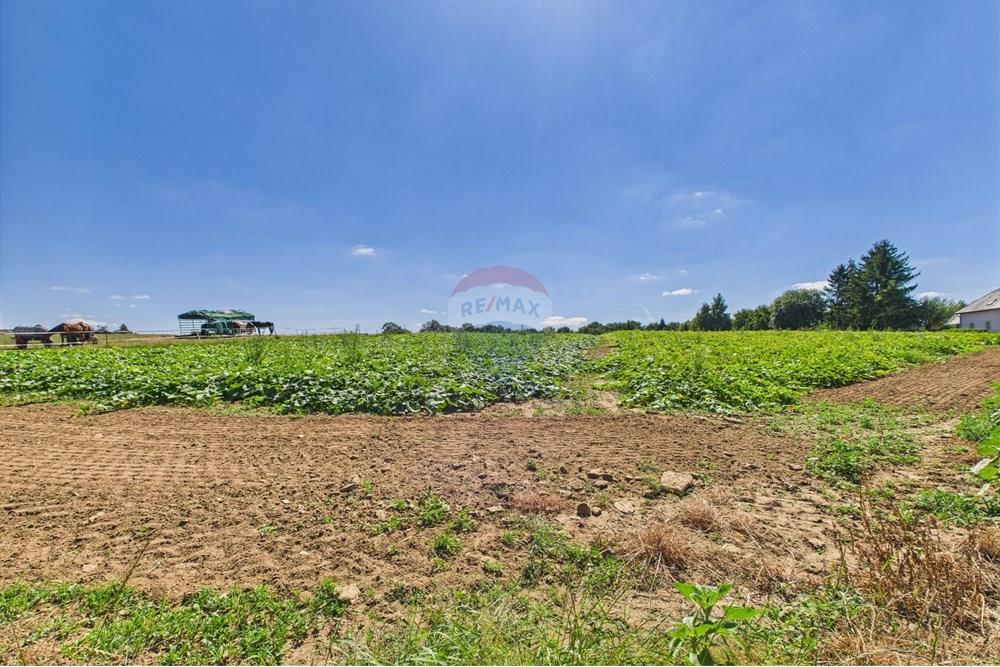 Terrain - A vendre - Contern - CAM02933G0-PR0254-STILL003.jpg - 280171009-187