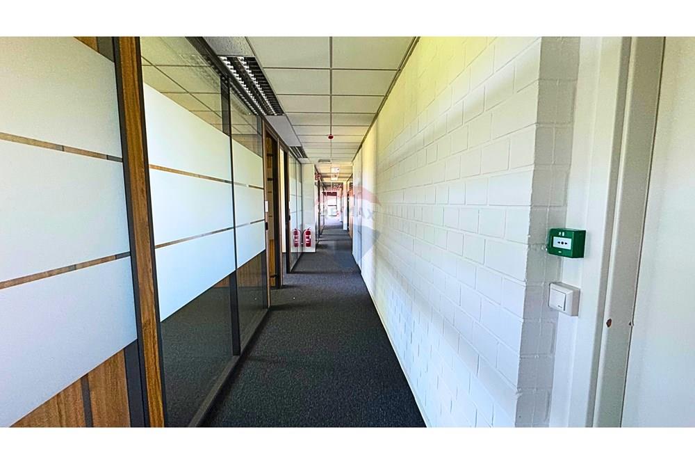 Bureau - A louer - Luxembourg - IMG_6555 — Отредактировано.jpg - 280361007-8