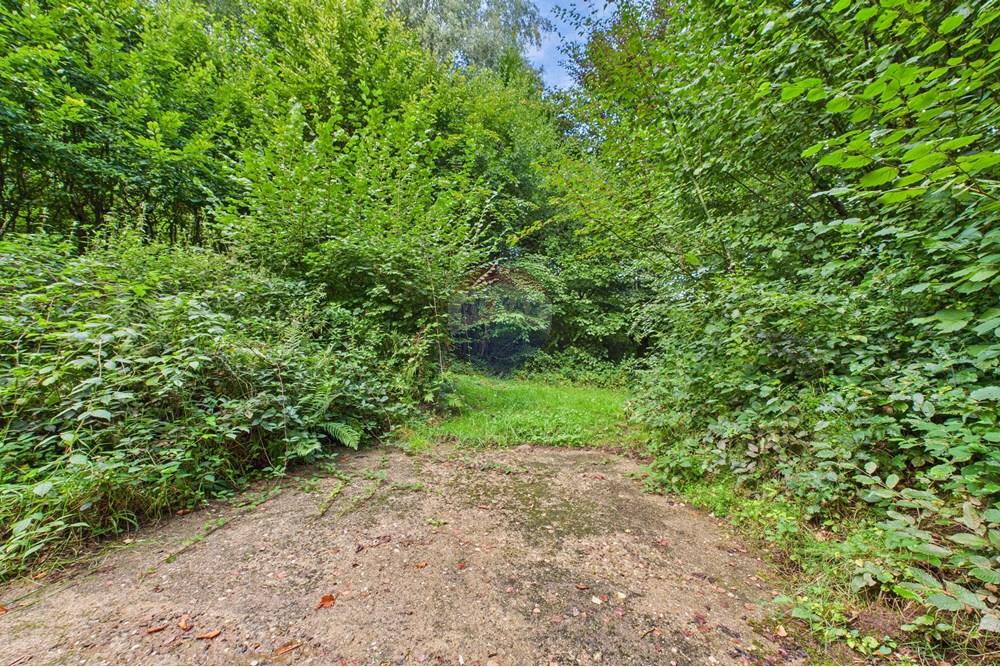 Detached house/villa - For Sale - Preizerdaul - CAM04794G0-PR0042-STILL045.jpg - 280061181-9