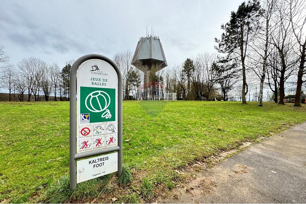 Appartement - A vendre - Luxembourg - IMG_0300.jpeg - 280321034-2