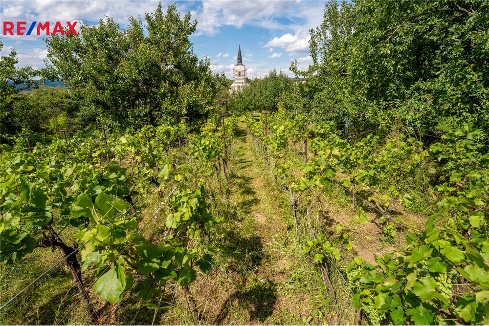lakó - szabadonálló ház - Věteřov, Jihomoravský kraj - Czech Republic - 29 - 29246061-41