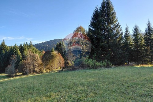 Residential - Land - Ravna Gora, Croatia - HR