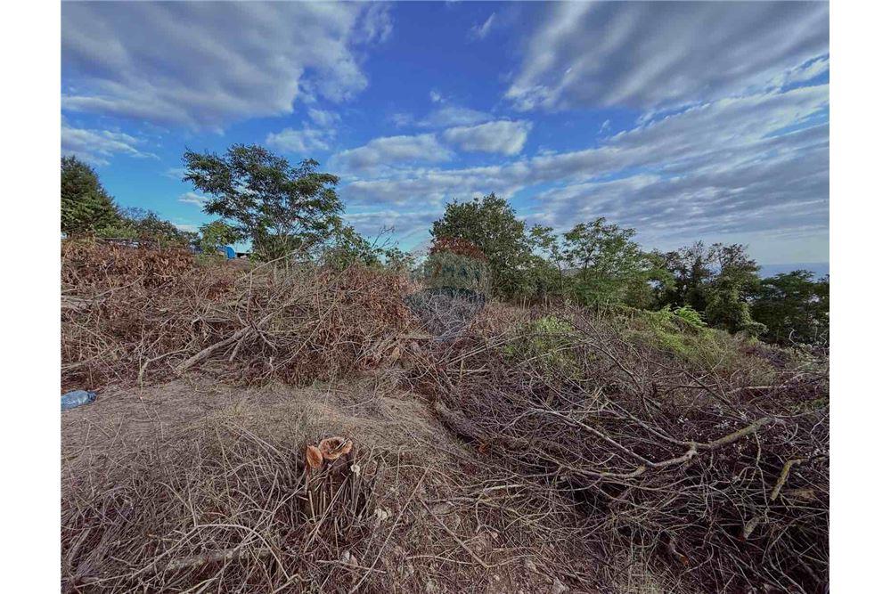 Поземлен имот - За продажба - гр. Балчик, Област Добрич, България - Двор - Двор - 360321025-237