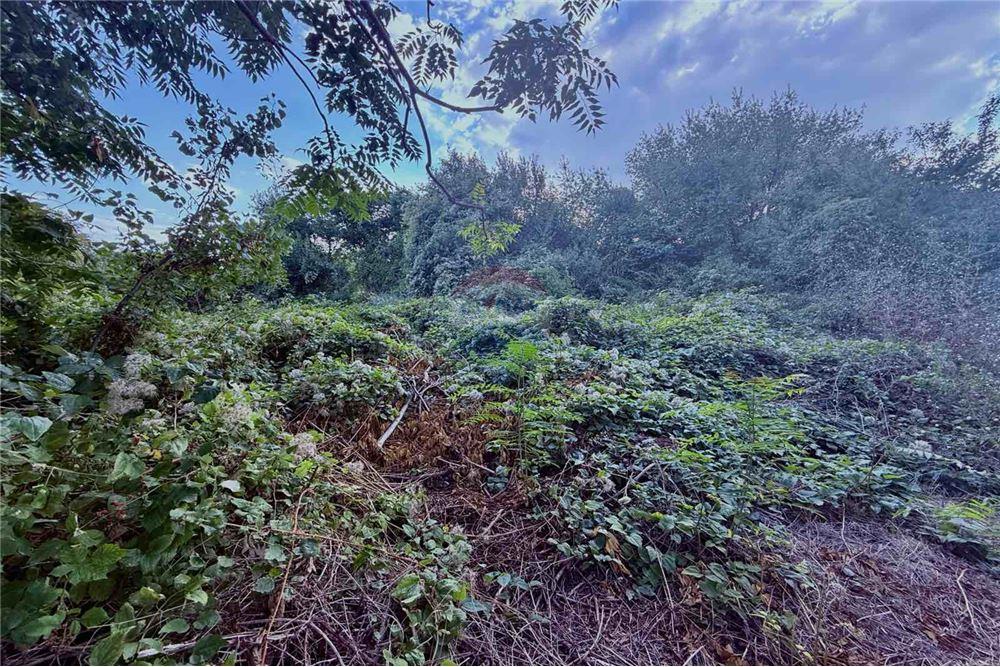 Поземлен имот - За продажба - гр. Балчик, Област Добрич, България - Дворно място - Двор - 360321025-233