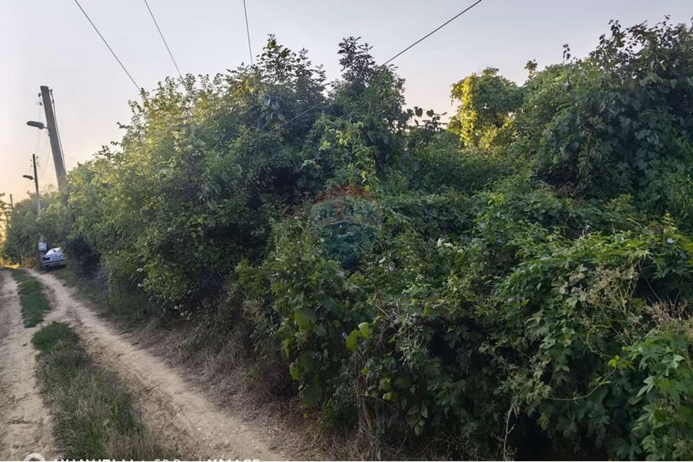 Поземлен имот - За продажба - гр. Варна, Област Варна, България - 0-02-05-9aa6e861f4f4e5ea3ea9060c2c7eea9653ccf0adbf7409f2636916cada9a7e39_1c6dc16c3407f4.jpg - Друга - 360391067-7