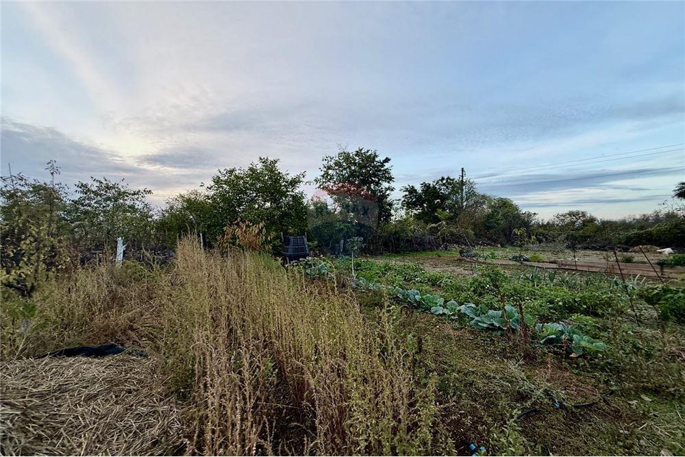 УПИ - За продажба - гр. Балчик, Област Добрич, България - Дворно място - Двор - 360321025-249