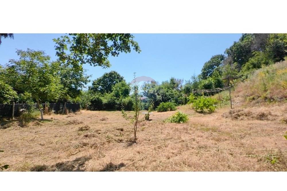 УПИ - За продажба - к.к. Златни пясъци, Област Варна, България - viber_изображение_2025-07-01_13-10-02-590.jpg - Двор - 360511010-72