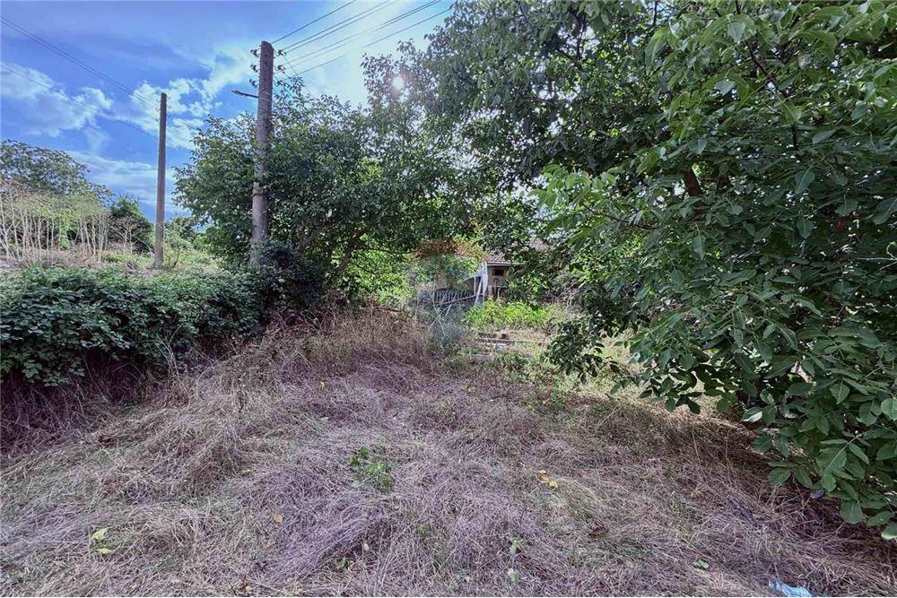 Селска къща - За продажба - с. Кранево, Област Добрич, България - Дворно място - Двор - 360321025-231