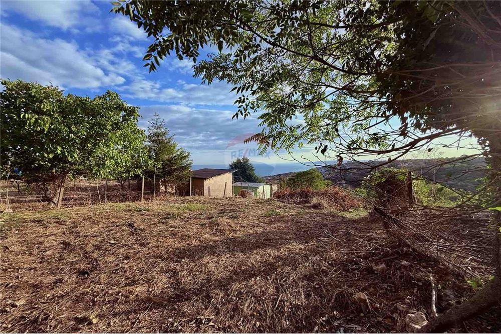 Поземлен имот - За продажба - гр. Балчик, Област Добрич, България - Двор - Двор - 360321025-237