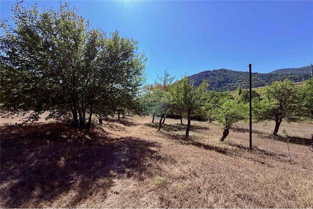 Имение - За продажба - с. Аспарухово, Област Варна, България - Дворно място - Двор - 360321025-228