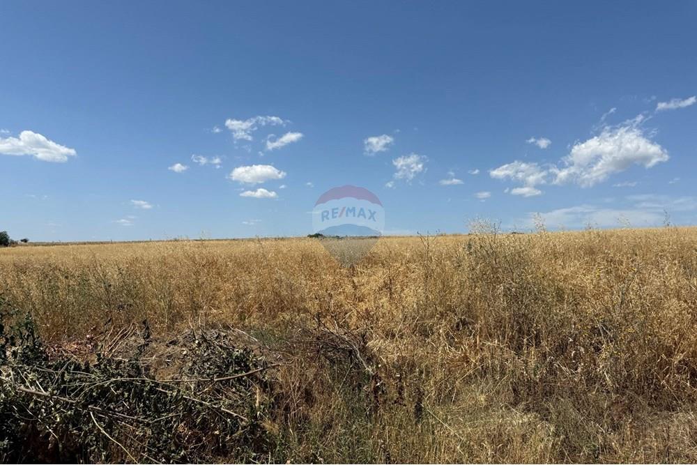 Поземлен имот - За продажба - с. Езерово, Област Варна, България - 0-02-05-ade3971dfb89dc2ae1ba55a0f94b10f1d609f15ea45fb0d1e3ae02e80525dbc4_108d71d4fab68c84.jpg - 360481001-621