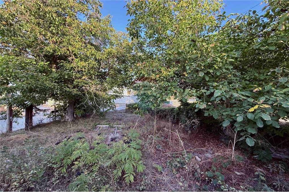 Селска къща - За продажба - с. Кранево, Област Добрич, България - Дворно място - Двор - 360321025-231