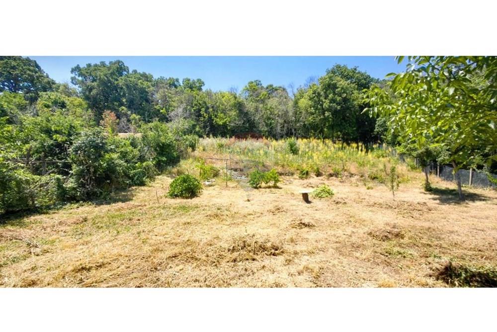 УПИ - За продажба - к.к. Златни пясъци, Област Варна, България - viber_изображение_2025-07-01_13-10-02-495.jpg - Двор - 360511010-72