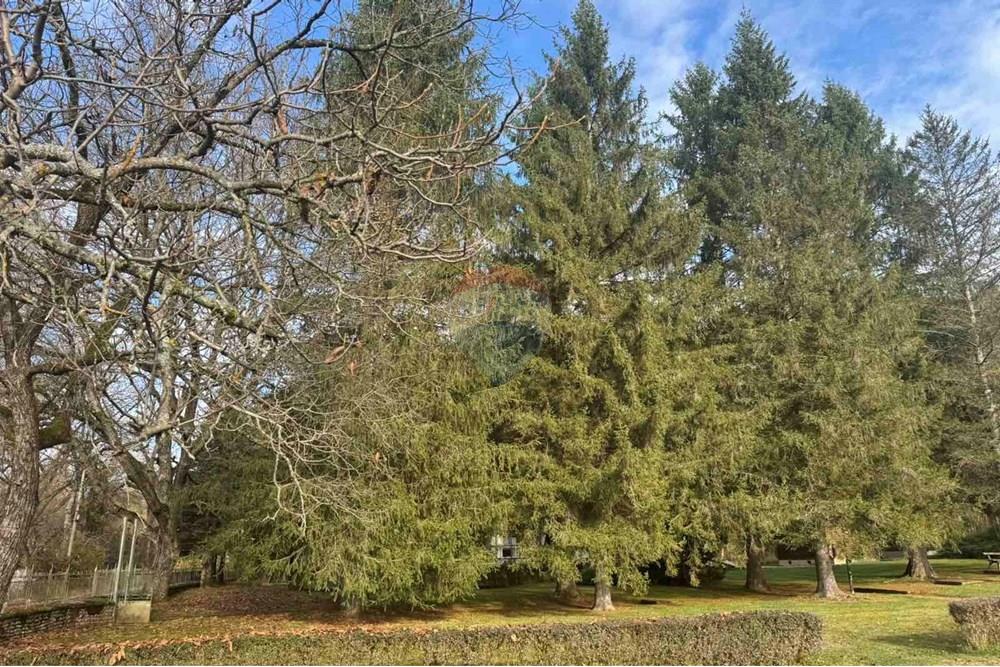 Къща за гости - За продажба - гр. Априлци, Област Ловеч, България - viber_изображение_2025-11-06_11-11-12-389.jpg - 360321001-512