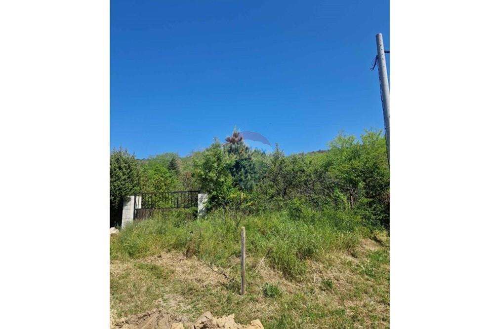 Development land - For Sale - Varna, Varna, Bulgaria - viber_image_2025-07-08_16-14-56-577.jpg - 360531003-46