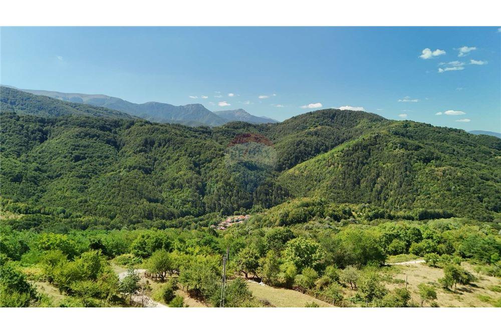 Maison de campagne - A vendre - с. Угорелец, Област Габрово, България - 20 - 360331003-191