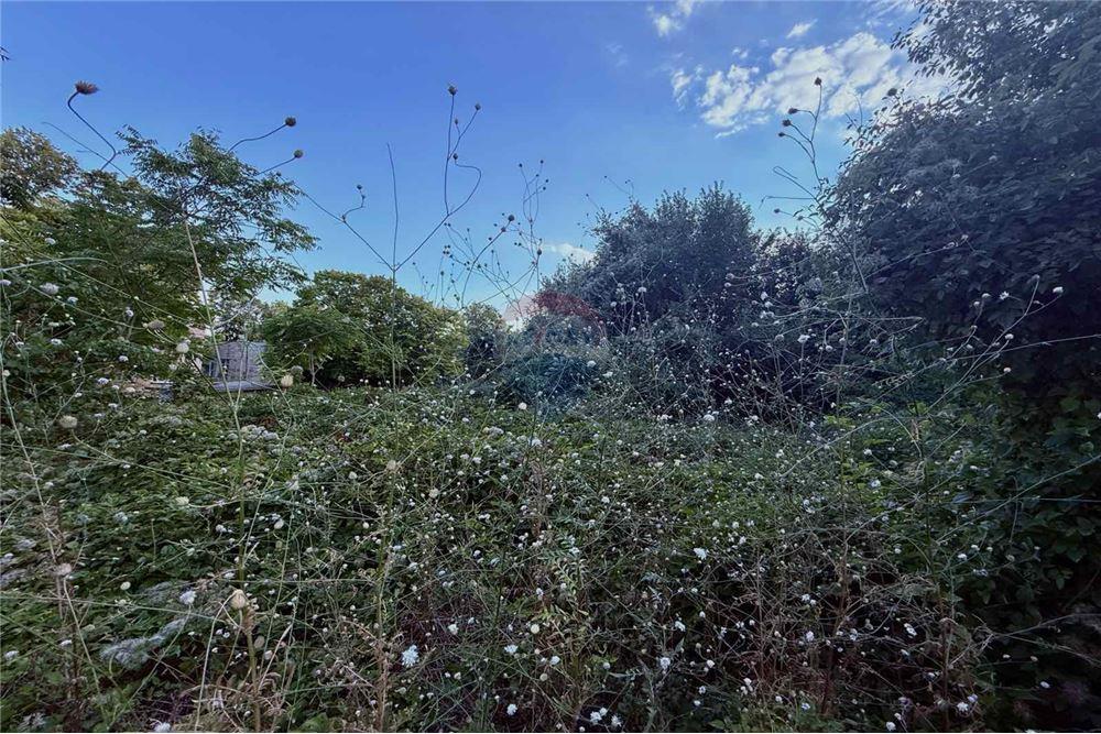 Поземлен имот - За продажба - гр. Балчик, Област Добрич, България - Дворно място - Двор - 360321025-233