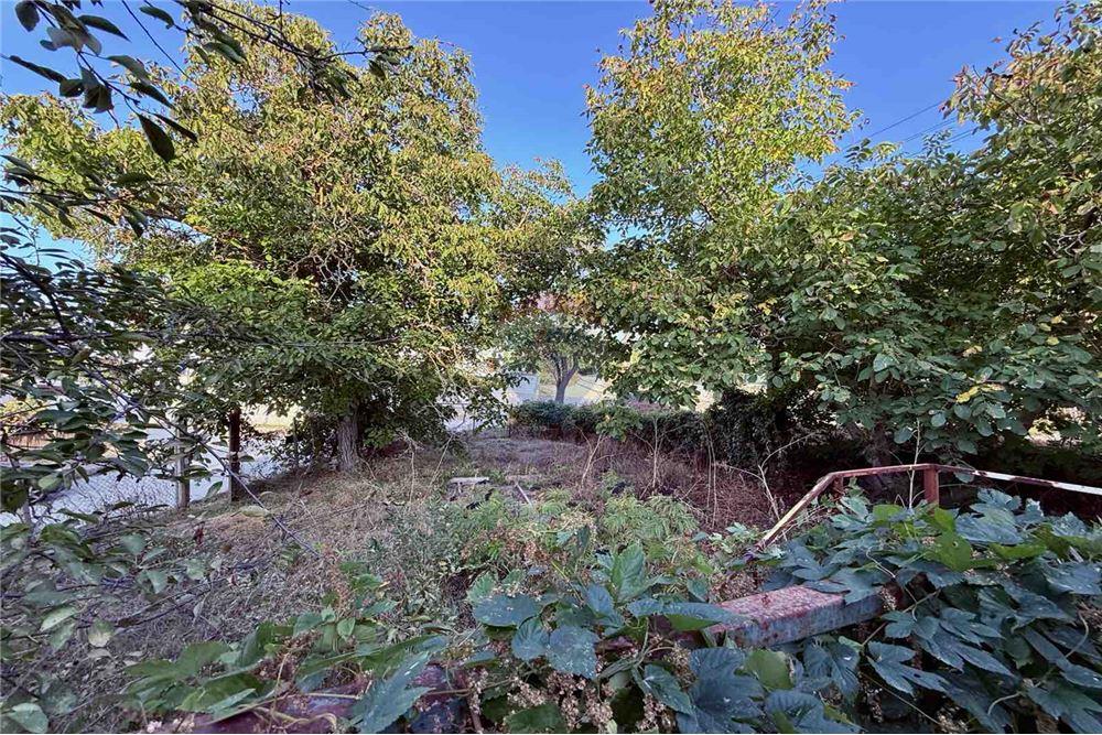 Селска къща - За продажба - с. Кранево, Област Добрич, България - Дворно място - Двор - 360321025-231