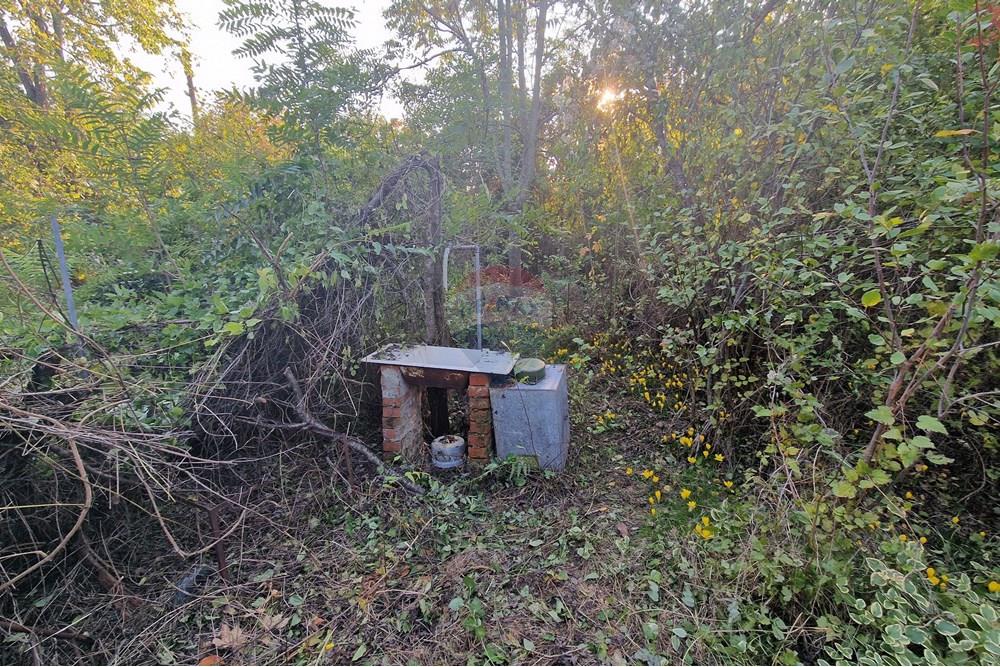 Kır Evi - Satılık - с. Писанец, Област Русе, България - 20251016_170644.jpg - 360451038-13