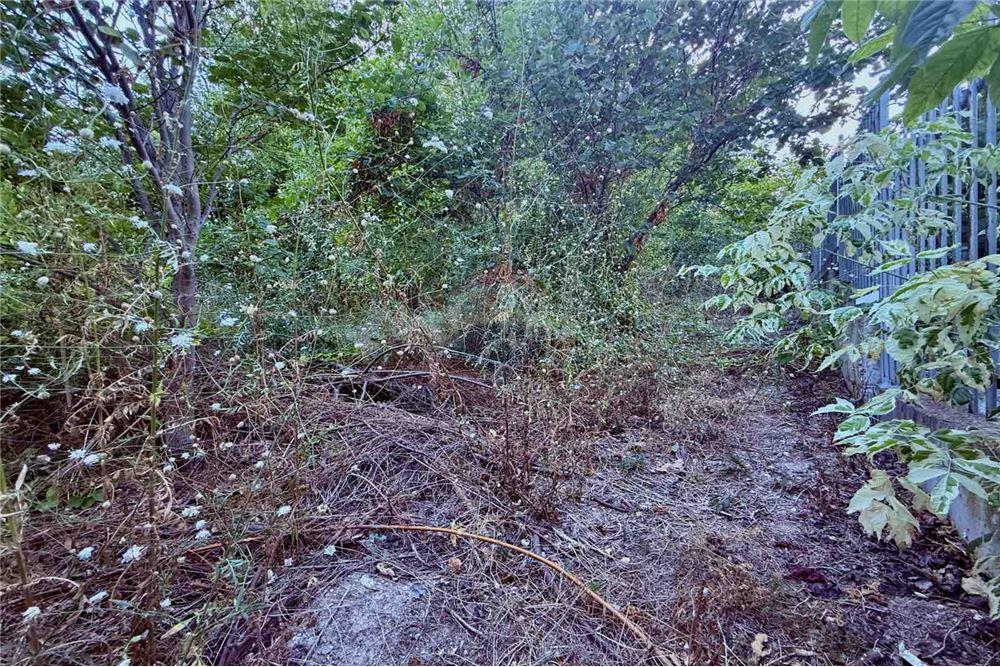 Поземлен имот - За продажба - гр. Балчик, Област Добрич, България - Дворно място - Двор - 360321025-233