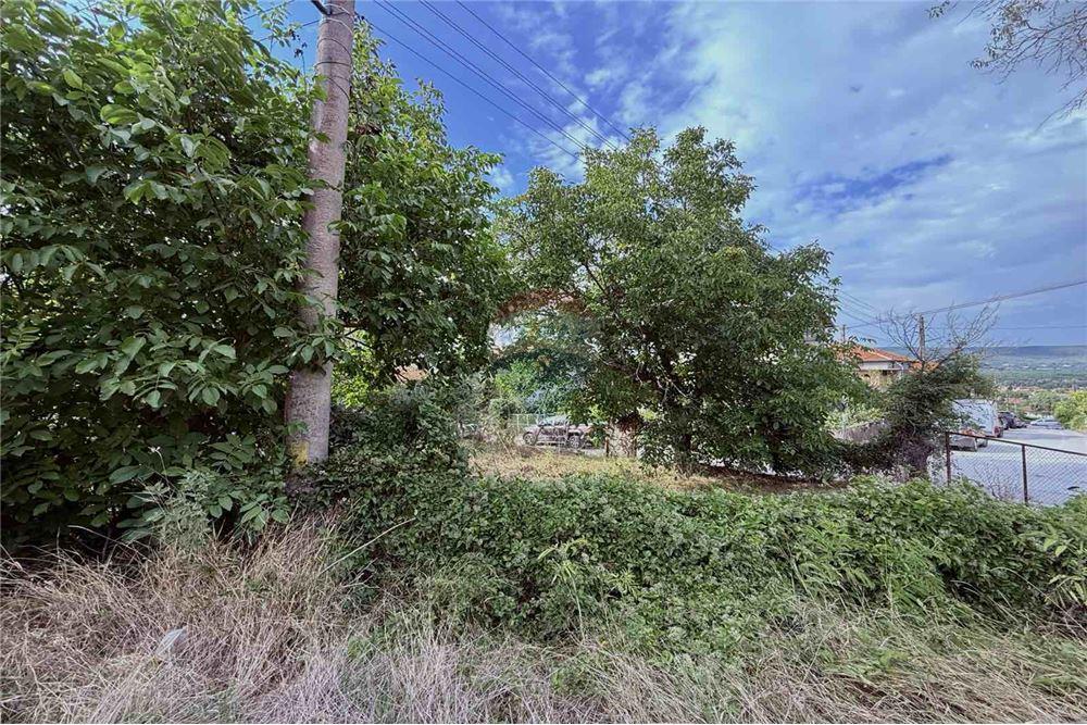 Селска къща - За продажба - с. Кранево, Област Добрич, България - Дворно място - Двор - 360321025-231