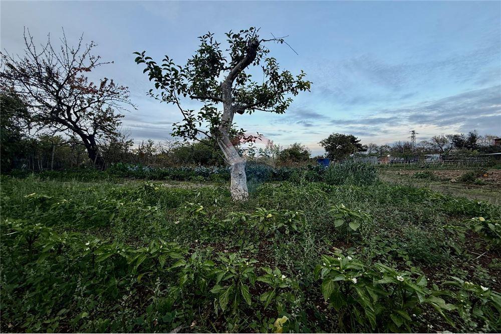 УПИ - За продажба - гр. Балчик, Област Добрич, България - Дворно място - Двор - 360321025-249