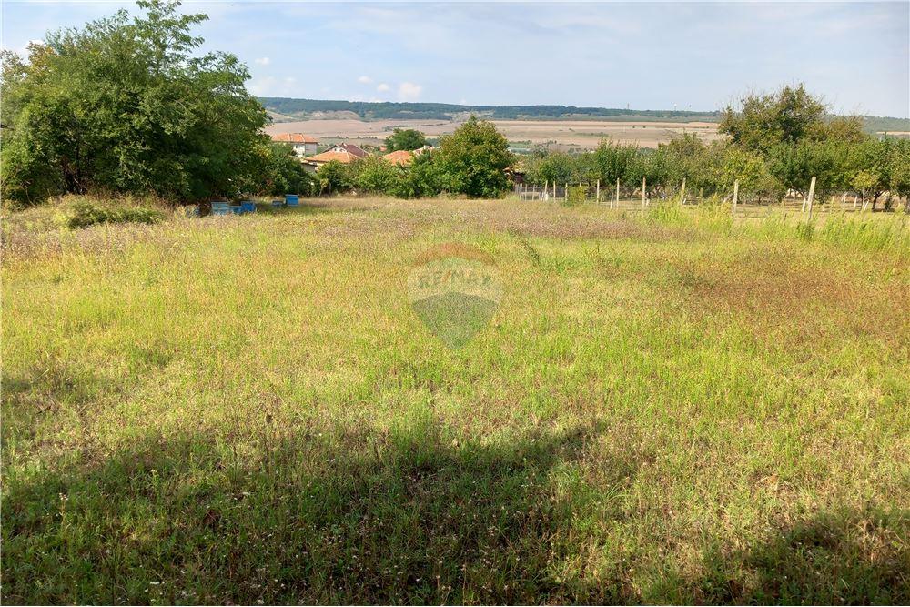 Поземлен имот - За продажба - с. Гецово, Област Разград, България - 2 - 360491001-19