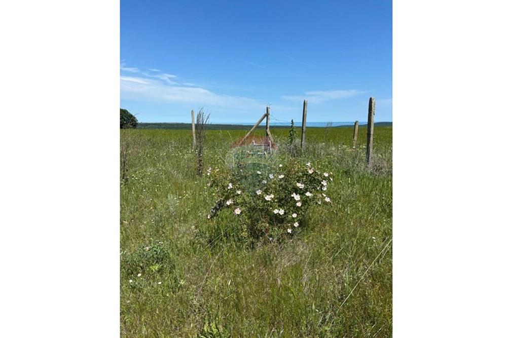 УПИ с решение за строеж - За продажба - с. Приселци, Област Варна, България - b0678532-d7fe-4cc3-b8d5-88c7c4afd81e.jpg - 360531007-13